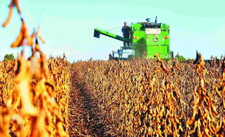 國家大豆產業技術體系首席科學家韓天富 大豆種業挑戰與機遇并存