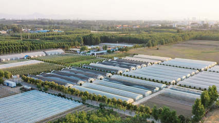 歐蘭德種業(yè)