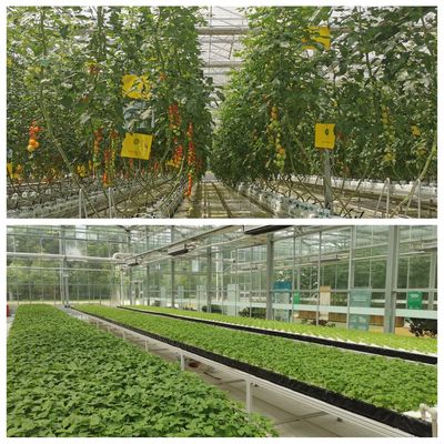 用心耕耘 以&ldquo;芯&rdquo;前行 ! 2022武漢種博會6月2日&ldquo;火熱上線&rdquo;